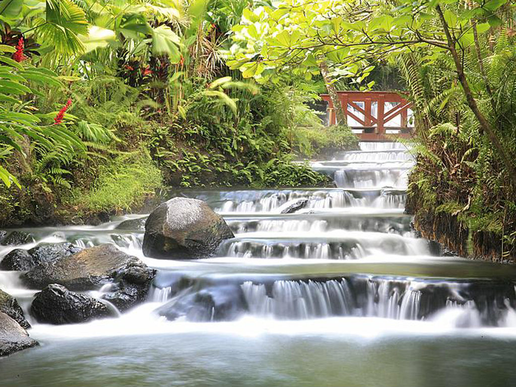 Tabacon Grand Spa Thermal Resort, Nuevo Arenal, Costa Rica